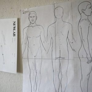 a diagram of a male body is tacked to a wall